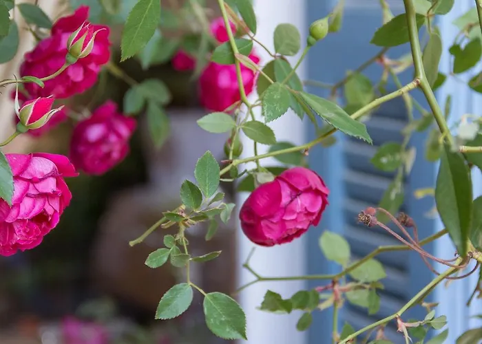 Pensionat Archontiko Mystras