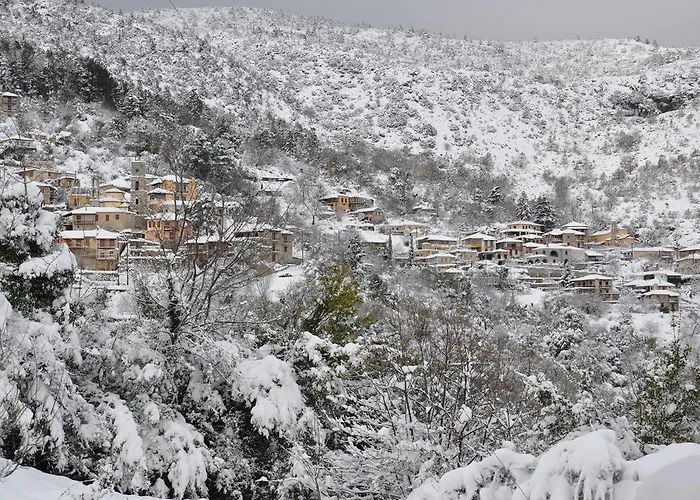 ゲストハウス Archontiko 3*